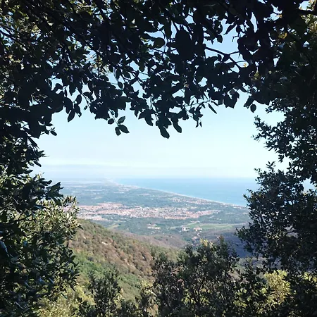 Mediterranee * ארגלס-סור-מר