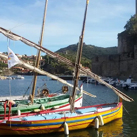 Mediterranee