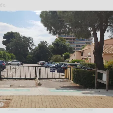 Mediterranee 公寓 滨海阿热莱斯